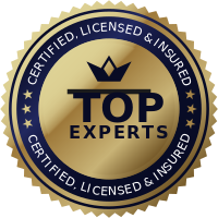 Top Experts
